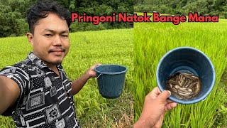 Natok Mana Pringoni  Garo Vlogs [upl. by Anahsed]