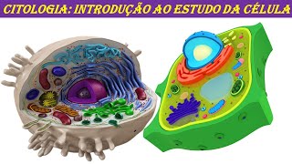 CITOLOGIA INTRODUÇÃO AO ESTUDO DA CÉLULA [upl. by Adaiha810]