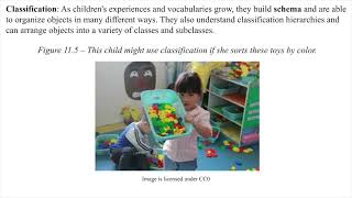 Ch11 Piaget’s Theory of Cognitive Development [upl. by Meuse]