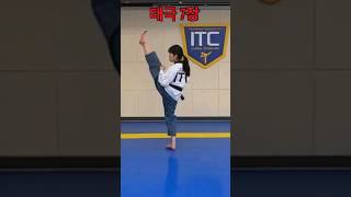 Taegeuk7  Taegeuk Chil Jang  Taekwondo shorts [upl. by Luo481]