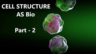 Cell Structure  AS Biology Paper 2 Revision  Cambridge AS Level  Part 3 [upl. by Yahsal]