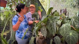 Vivero de Orquídeas bromelias y Plantas Exóticas [upl. by Oiramad314]