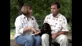 L C 36 Pheasant Hunting with quotBugquot and Pat Watts with Hollow Creek Kennels [upl. by Livvi]