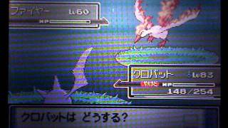 ポケモンプラチナ・光るフャイヤー！【Pokémon Platinum  shiny Moltres】 [upl. by Elia460]