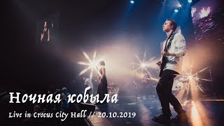 Мельница  Ночная кобыла  Live in Crocus City Hall 20102019 [upl. by Mosira981]