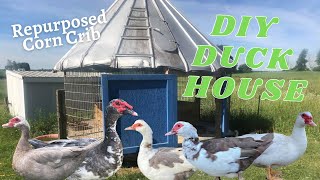 DIY Duck House for Muscovy Ducks Repurposed Old Corn Crib [upl. by Eirruc931]