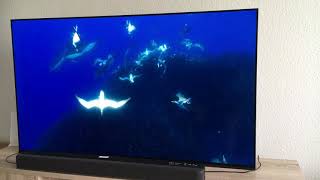 Sony oled AG9 Netflix test of Dolby Vision and Dolby atmos [upl. by Lewis]