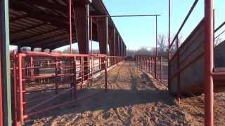 Stacy Westfall Stops at Waggoner Ranch [upl. by Essex]