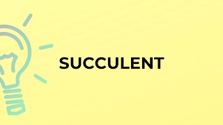 What is the meaning of the word SUCCULENT [upl. by Sunny681]