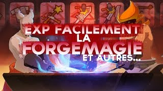 DOFUS  GUIDE FORGEMAGE comment exp les metiers rapidement [upl. by Mitinger808]