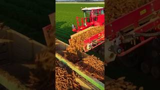 Harvester corn viralvideo agriculture agrimachinery automobile shortvideo shorts agrix [upl. by Garnet]