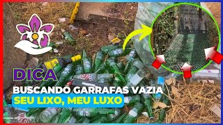 buscando garrafas vazias para nosso piso ecológico grátis [upl. by Suirauqed362]