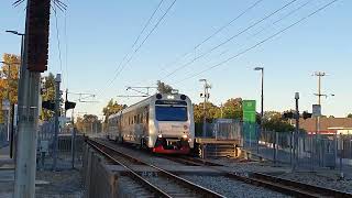 Transwa Australind ADP102103 passes Seaforth [upl. by Elbert]