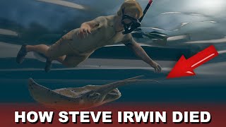 Steve Irwin Death Video Footage Recreation [upl. by Athal]