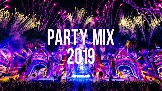 Party Mix 2019 [upl. by Atirehgram538]