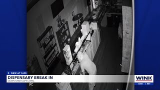 Cape Coral CBD Shop hit by vandals twice in one week [upl. by Noimad]