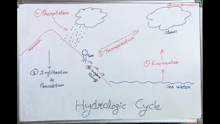 Hydrological Cycle Hindi Lecture I Water Cycle [upl. by Yodlem]