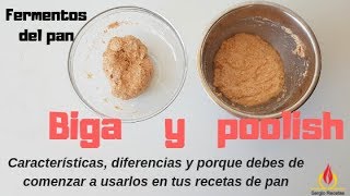 BIGA Y POOLISHFermentos del pan🥖Caracteristicas usos y porque debes de usarlos en tus panes [upl. by Anaerda10]