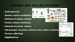 Anther and pollen culture  Androgenesis  Plant tissue culture  AZ Concepts guide [upl. by Ryun]