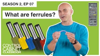 What are ferrules [upl. by Strade737]