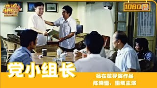 《党小组长》 The head of party group（陈晓雷  里坡）党组织新人秉公办事不畏权威，下场却是被迫降职？【华语电影资料馆】 [upl. by Janina]