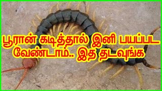 பூரான் கடித்தால் அது மேல் இத தடவுங்க  pooran kadi marunthu tamil  Centipede Envenomation Treatment [upl. by Aneej]