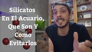 🔵 Silicatos En El AcuarioQue Son Y Como Evitarlos AcuariosMB [upl. by Aluap]