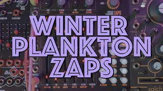 Exploring the Winter Plankton Zaps eurorack module [upl. by Redliw]