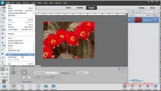 Using printer color profiles Photoshop Elements 11 12 HP Windows [upl. by Evilc680]