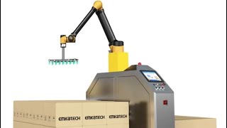 Palletizing Workstation Robotic Arm Industrial Cobot Palletizer 20 Kg Payload [upl. by Aruasor]