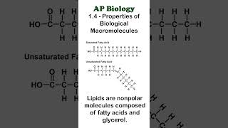 AP Bio  14 Part 4  Lipids apbiology biochemistry [upl. by Dina]