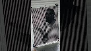 portret art scanimation lenticular livepictures [upl. by Hsoj]