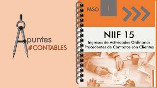 Paso 1 de la NIIF 15  Resumen Análisis y Casos Prácticos [upl. by Marston]