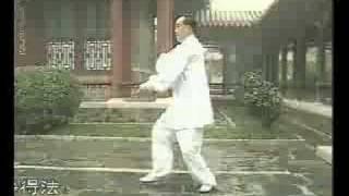 Funei Yang Style Taijiquan  Li Zheng [upl. by Wenger905]