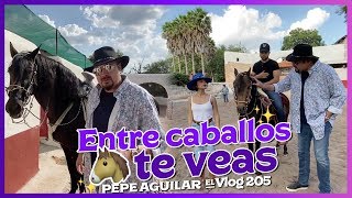 Pepe Aguilar  El Vlog 205  Entre Caballos te Veas [upl. by Enelad677]