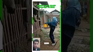 Susah di tebak😁 amadiketu comedy funny tiktokviral fypシ゚viral  tiktok meme video lucu [upl. by Ahseik]