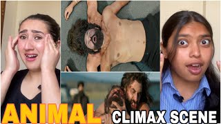 ANIMAL MASS CLIMAX SCENE REACTION  RANBIR KAPOOR  RASHMIKA [upl. by Acimat]