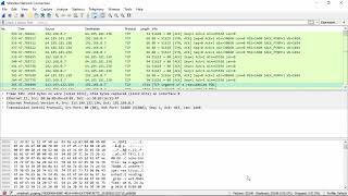 Analyzing the live capture using Wireshark [upl. by Byler]