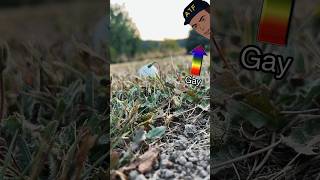 Golf ball vs Airsoft [upl. by Fayola]