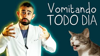 Vômitos recorrentes em CÃES e GATOS  O que pode ser  Dica Veterinária 24 [upl. by Amorete26]