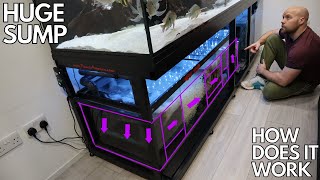 FRESH WATER AQUARIUM SUMP HOW DOES IT WORK [upl. by Tung]