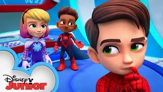 Meet Spidey and his Amazing Friends Short 11  WEBSTER  disneyjunior MarvelHQ​ [upl. by Burrell]