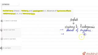 Axolotl larva shows i Neoteny and paedogenesis ii Absence of thyroxine affects metamorphosis [upl. by Ilanos]