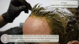 How to Color Gray Hair with Radico Organic Hair Color  Color Foundation Treatment [upl. by Nytnerb]