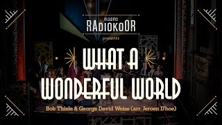 What a Wonderful World LIVE Vlaams Radiokoor presents Vocal Fabric [upl. by Inah996]