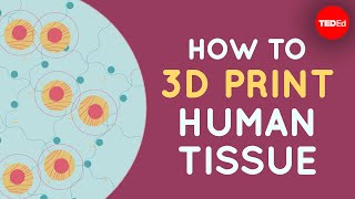 How to 3D print human tissue  Taneka Jones [upl. by Arihsak456]