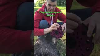 Fingertraining mal Anders😀 bouldering mountains climbing  Hundetraining Natur  Bayern  Jura [upl. by Hgielac268]