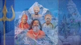 Sannyasins of Shri Alakhpuriji Siddhapeetha Parampara [upl. by Leela]