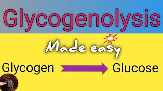 Glycogenolysis Pathway in Biochemistry ll Definition ll Site ll Significance ll Regulation [upl. by Zebada139]