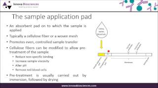 Lateral Flow Webinar A Guide to Lateral Flow Immunoassay Development [upl. by Cristie]